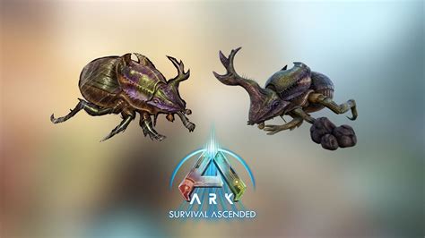 ark dung beetle location.